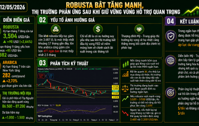 ROBUSTA BẬT TĂNG MẠNH SAU KHI GIỮ VỮNG VÙNG HỖ TRỢ QUAN TRỌNG