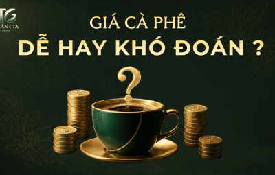 GIÁ CÀ PHÊ DỄ HAY KHÓ ĐOÁN?