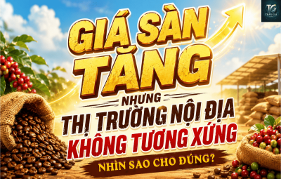 GIÁ SÀN TĂNG NHƯNG THỊ TRƯỜNG NỘI ĐỊA KHÔNG TƯƠNG XỨNG – NHÌN SAO CHO ĐÚNG?