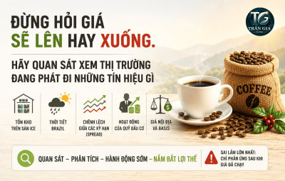 ĐỪNG HỎI GIÁ SẼ LÊN HAY XUỐNG. HÃY QUAN SÁT XEM THỊ TRƯỜNG ĐANG PHÁT ĐI NHỮNG TÍN HIỆU GÌ