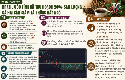 BRAZIL ƯỚC TÍNH ĐÃ THU HOẠCH 20% SẢN LƯỢNG, CẢ HAI SÀN GIẢM LÀ KHÔNG BẤT NGỜ