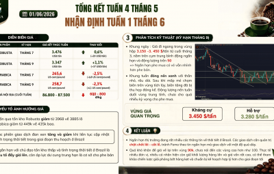TỔNG KẾT TUẦN 4 THÁNG 5. NHẬN ĐỊNH TUẦN 1 THÁNG 6