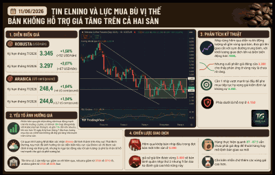 TIN ELNINO VÀ LỰC MUA BÙ VỊ THẾ BÁN KHỐNG HỖ TRỢ GIÁ TĂNG TRÊN CẢ HAI SÀN 