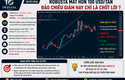 30/07/2026 - ROBUSTA MẤT HƠN 100 USD/TẤN – ĐẢO CHIỀU GIẢM HAY CHỈ LÀ CHỐT LỜI?