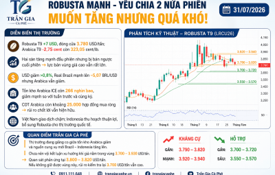 31/07/2026 - ROBUSTA MẠNH - YẾU CHIA LÀM 2 NỬA PHIÊN, MUỐN TĂNG NHƯNG QUÁ KHÓ!