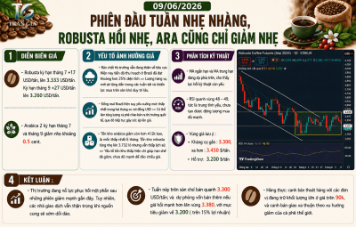 PHIÊN ĐẦU TUẦN NHẸ NHÀNG, ROBUSTA HỒI NHẸ, ARA CŨNG CHỈ GIẢM NHẸ