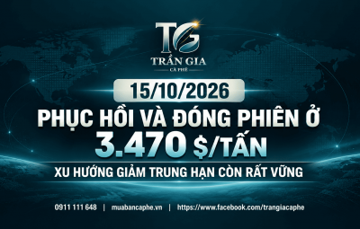 15/10/2026 – ROBUSTA PHỤC HỒI LÊN 3.470 USD/TẤN: EL NIÑO VÀ ĐỒNG REAL HỖ TRỢ GIÁ, NHƯNG XU HƯỚNG GIẢM CHƯA LUNG LAY