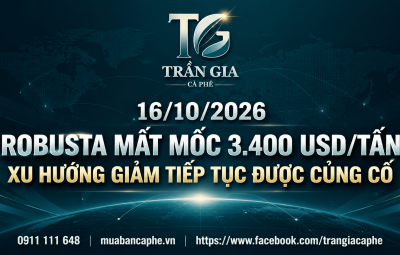 16/10/2026 – ROBUSTA MẤT MỐC 3.400 USD/TẤN: XU HƯỚNG GIẢM TRUNG HẠN TIẾP TỤC ĐƯỢC CỦNG CỐ
