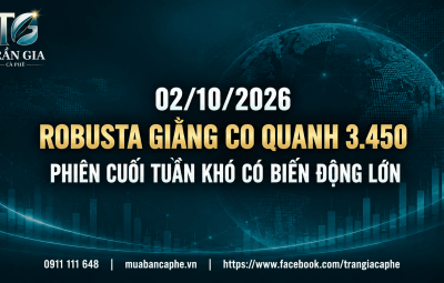 02/10/2026 – ROBUSTA GIẰNG CO QUANH 3.450
