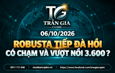 06/10/2026 ROBUSTA TIẾP ĐÀ HỒI. LIỆU CÓ CHẠM VÀ VƯỢT ĐƯỢC 3.600?