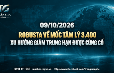 09/10/2026 – ROBUSTA THỦNG 3.400: ÁP LỰC GIẢM QUAY TRỞ LẠI SAU NHỊP HỒI