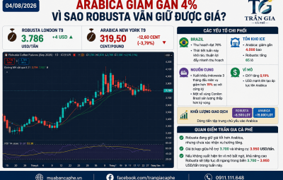 04/08/2026 - ARABICA GIẢM SÂU TRONG KHI ROBUSTA GIỮ GIÁ